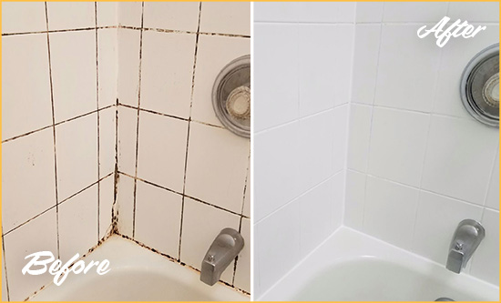 Before and After Picture of a Charlotte Shower Tile and Grout Cleaned to Eliminate Mold