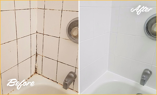 Before and After Picture of a Lake Wylie Shower Tile and Grout Cleaned to Eliminate Mold