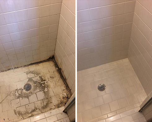 Shower Stall Before and After a Tile Cleaning in Charlotte