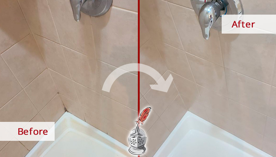 Before and After Image of a Shower Afer a Superb Grout Cleaning in Monroe