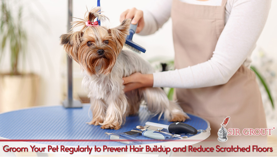 Groom Your Pet to Keep Hair and Nails at Bay