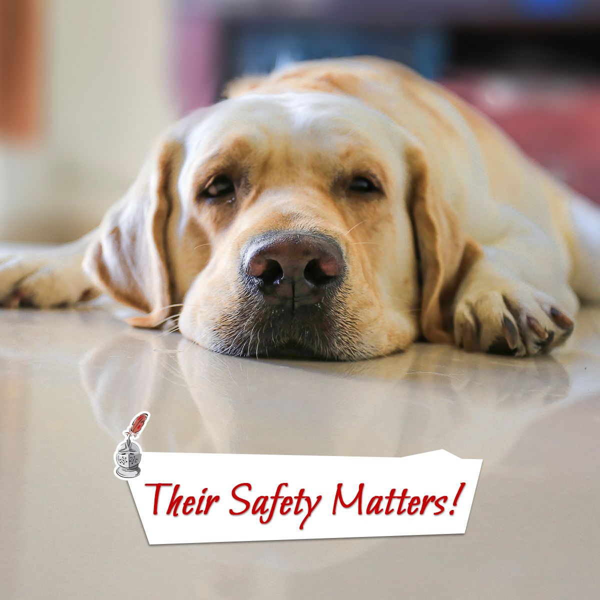 Their Safety Matters!