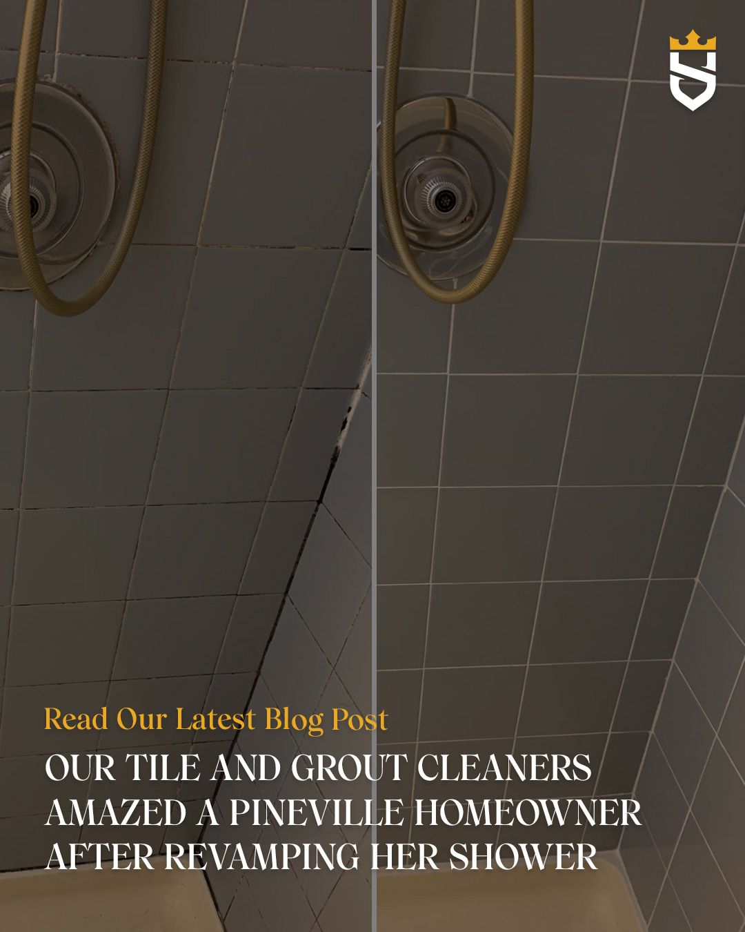 Our Tile and Grout Cleaners Amazed a Pineville Homeowner After Revamping Her Shower